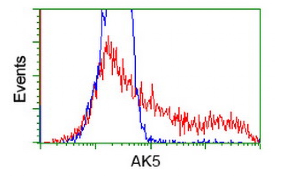 Fitzgerald/AK5 antibody/10R-3248/100 ul