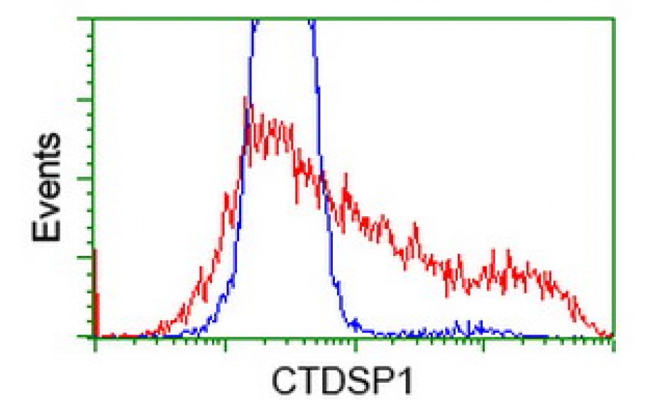 Fitzgerald/CTDSP1 antibody/10R-3741/100 ul