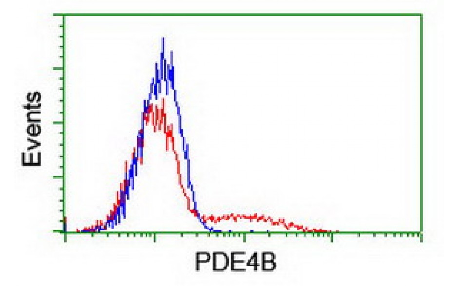 Fitzgerald/PDE4B antibody/10R-5195/100 ul