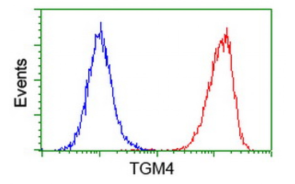 Fitzgerald/TGM4 antibody/10R-6061/100 ul